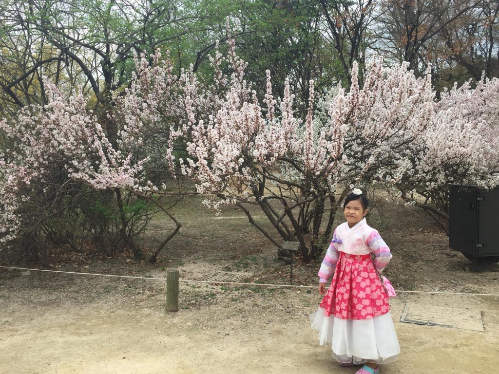 HANBOK EXPERIENCE, TEAM UY TRAVELS