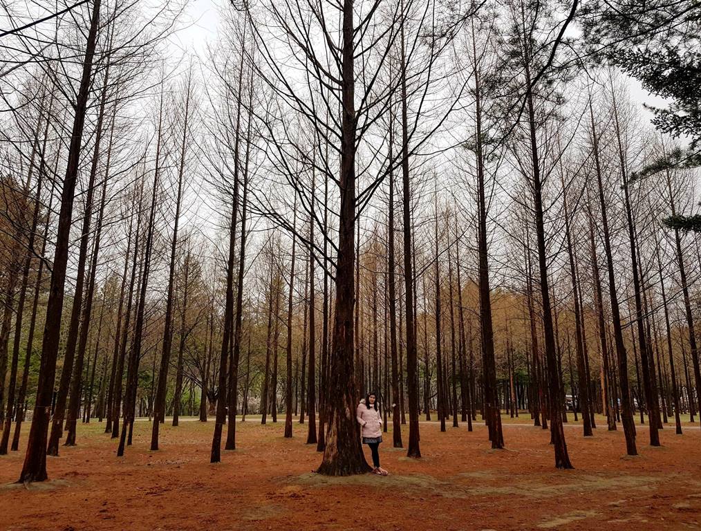 NAMI ISLAND, TEAM UY TRAVELS