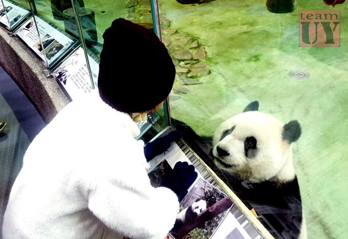 TAIPE ZOO TEAM UY TRAVELS