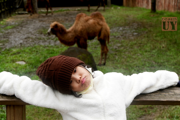 TAIPE ZOO TEAM UY TRAVELS